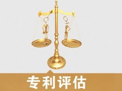 專利的價(jià)值評(píng)估，新手賣家必看