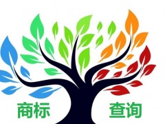 如何應(yīng)對商標查詢盲期？