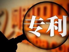企業(yè)或個(gè)人為什么要進(jìn)行專(zhuān)利申請(qǐng)？